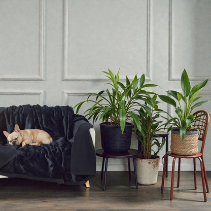 EverDry Water Resistance Blanket